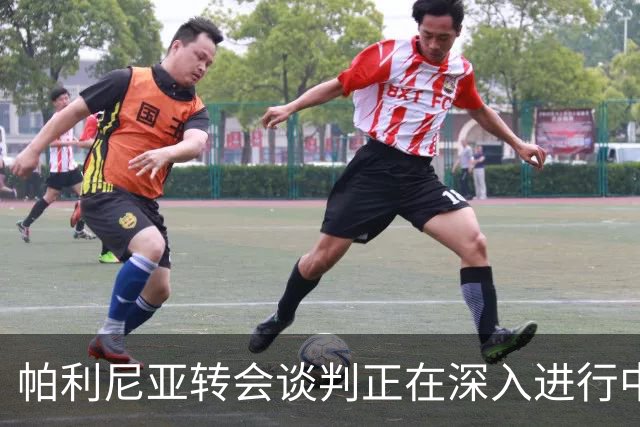 帕利尼亚转会谈判正在深入进行中