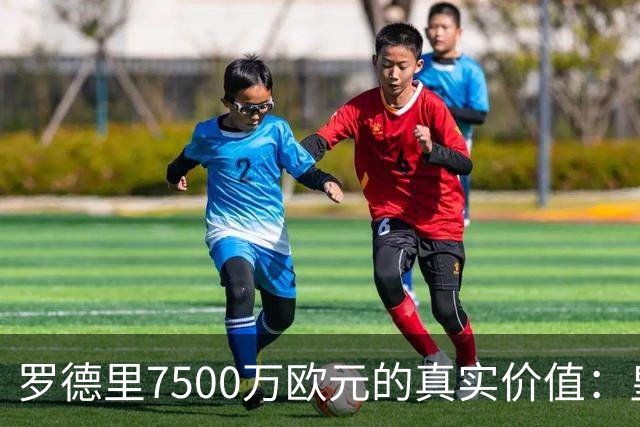 罗德里7500万欧元的真实价值：皇马名将的独特看法